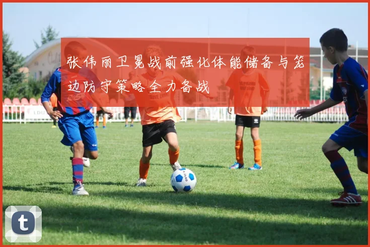 张伟丽卫冕战前强化体能储备与笼边防守策略全力备战